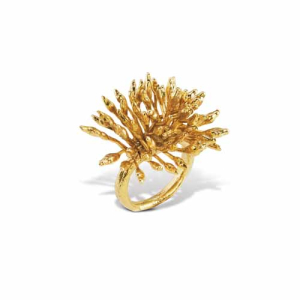 DOROTTYA-HOFFMANN_Golden-Coral